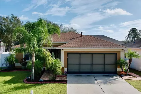 3102 Pine Top Dr, Valrico, FL 33594