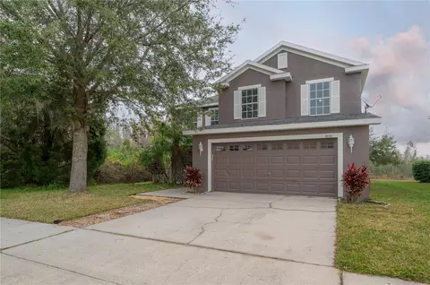9630 Nathaniel Ln, Land O Lakes, FL 34638
