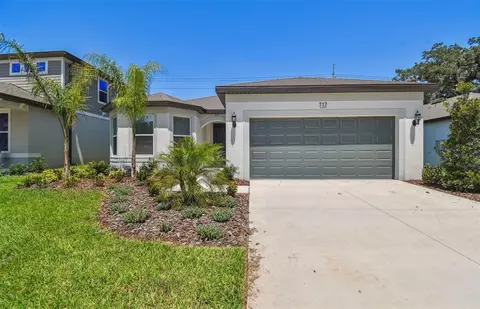 717 Little Cloud Pl, Valrico, FL 33594