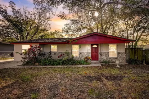 4203 Walis Pl, Tampa, FL 33610