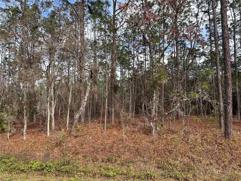 Tbd SW 135th Terrace Road, Ocala, FL 34481