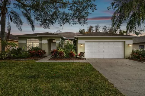 19814 Wyndham Lakes Dr, Odessa, FL 33556