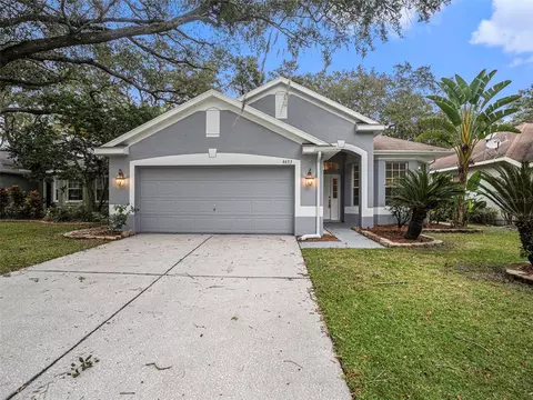 4633 Dunnie Dr, Tampa, FL 33614