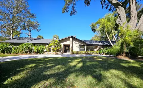 910 River Rapids Ave, Brandon, FL 33511 photo 1