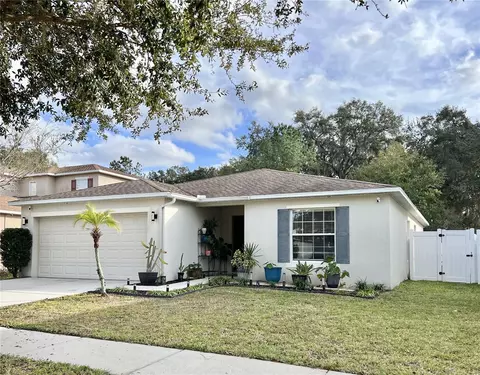 31010 Mandolin Cay Ave, Wesley Chapel, FL 33543