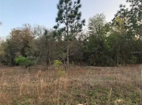 65 Hilliard Ave, Dunnellon, FL 34431