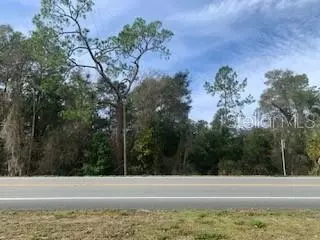 338533773369 Mckethan Rd, Dade City, FL 33523