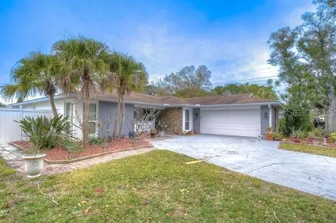 15 Birch Ln, Palm Harbor, FL 34683