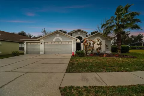 6919 Pine Springs Dr, Wesley Chapel, FL 33545