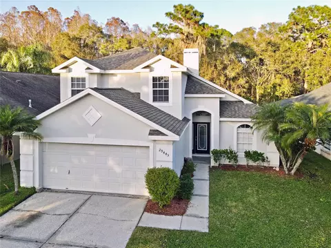 29445 Birds Eye Dr, Wesley Chapel, FL 33543