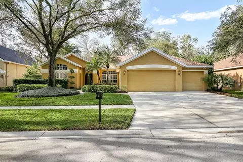 5621 Osprey Park Pl, Lithia, FL 33547