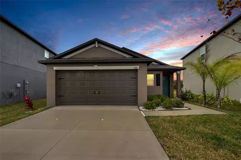 12741 Maple Bonsai Dr, Riverview, FL 33579 photo 1