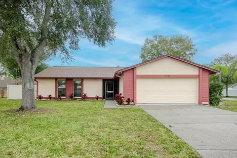 6706 Paradise Bay Way, Tampa, FL 33615