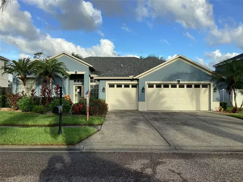 1717 Pink Guara Ct, Trinity, FL 34655
