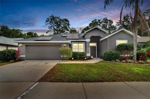 1144 Lumsden Trace Cir, Valrico, FL 33594