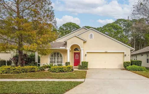 14641 Corkwood Dr, Tampa, FL 33626