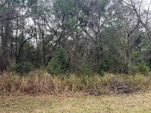 8399 N Sarazen Dr, Citrus Springs, FL 34434