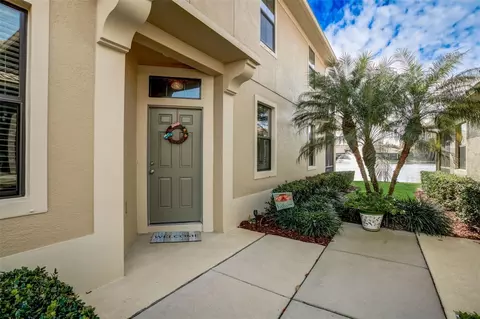 2546 Silverback Ct, Palm Harbor, FL 34684
