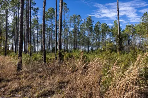 County Road 1469, Earleton, FL 32631