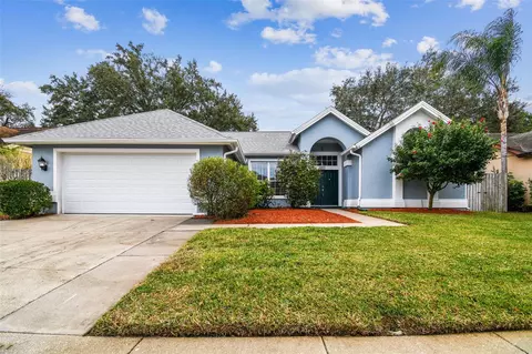 3080 Robinwood Ln, Palm Harbor, FL 34684