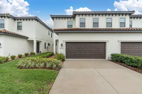 13033 Sanctuary Village Ln, Tampa, FL 33624