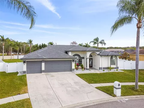10209 Lockwood Pines Ln, Tampa, FL 33635