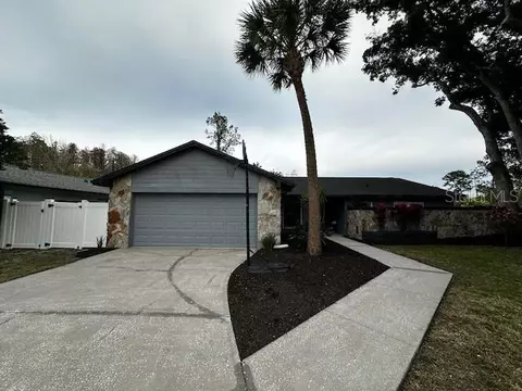 3905 Willowtree Pl, Tampa, FL 33624