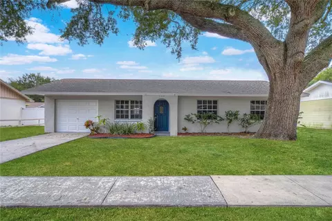 1215 Sagamore Dr, Seffner, FL 33584