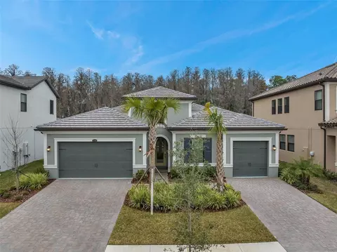 29704 Picana Ln, Wesley Chapel, FL 33543