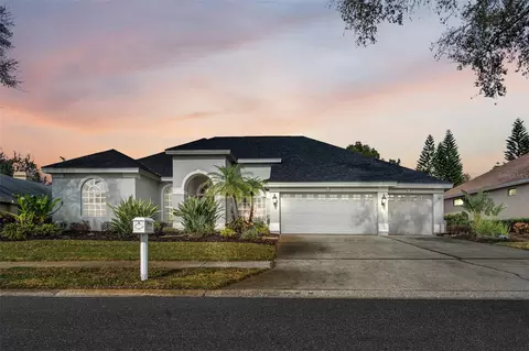 3881 Mullenhurst Dr, Palm Harbor, FL 34685