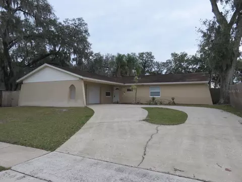 1103 Brandon Lakes Ave, Valrico, FL 33594