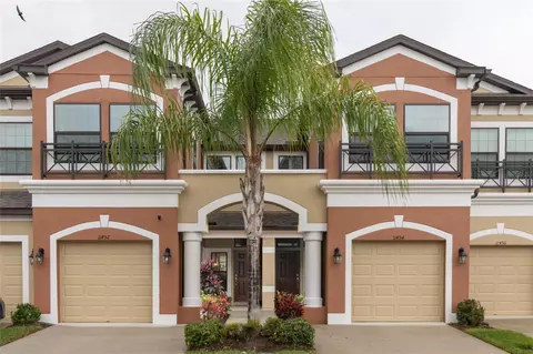 11452 Crowned Sparrow Ln, Tampa, FL 33626
