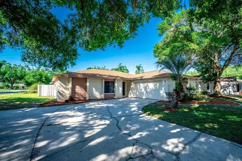 4223 Summerdale Dr, Tampa, FL 33624