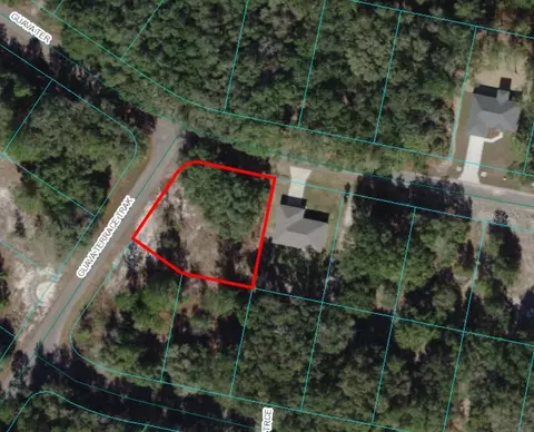 Guava Terrace, Ocklawaha, FL 32179