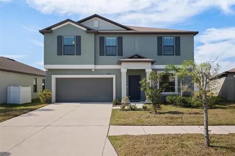 4105 Globe Thistle Dr, Tampa, FL 33619