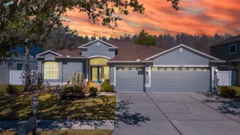 10660 Grand Riviere Dr, Tampa, FL 33647