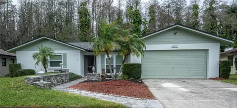 16204 Oakmanor Dr, Tampa, FL 33624