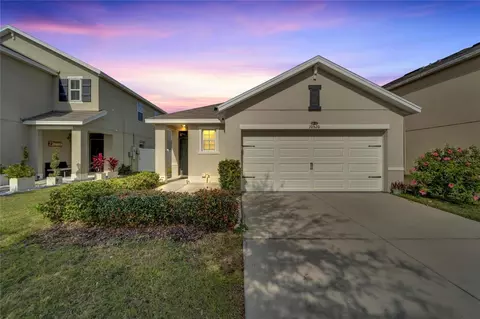 10520 Whispering Hammock Dr, Riverview, FL 33578 photo 1