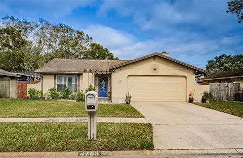 4703 Cypress Tree Dr, Tampa, FL 33624