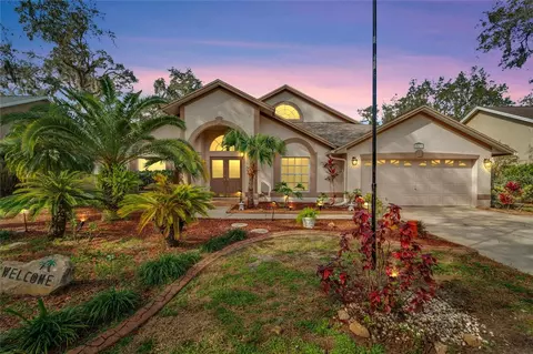 10437 Nightengale Dr, Riverview, FL 33569