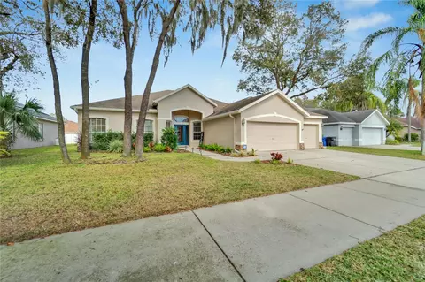 2522 Centennial Falcon Dr, Valrico, FL 33594