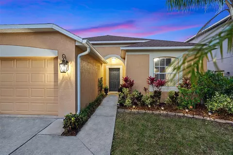 11319 Village Brook Dr, Riverview, FL 33579