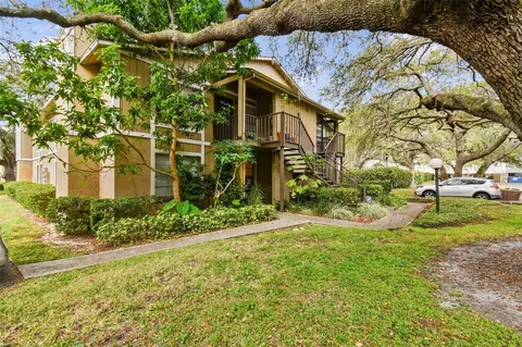 14324 Hanging Moss Cir #102, Tampa, FL 33613