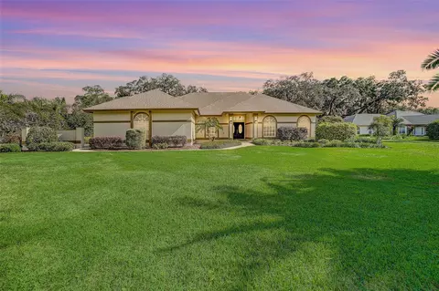 16209 Sentry Woods Ct, Odessa, FL 33556