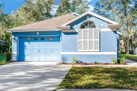 6001 Kiteridge Dr, Lithia, FL 33547