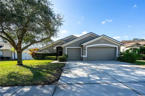 22524 Willow Lakes Dr, Lutz, FL 33549
