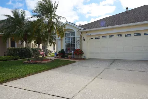 19320 Haskell Pl, Land O Lakes, FL 34638