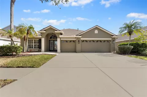 10129 Downey Ln, Tampa, FL 33626