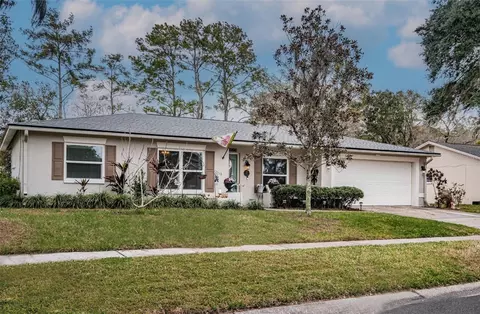 3617 Orangepointe Rd, Valrico, FL 33596
