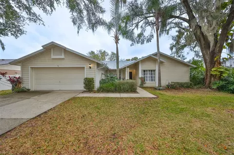 2418 Arborwood Dr, Valrico, FL 33596